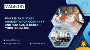 What is an IT Staff Augmentation Company? And How Can It Benefit Your Business?